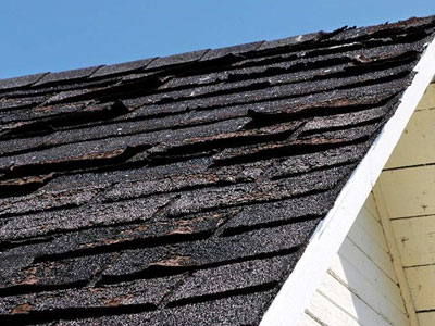 JS Roofing Images