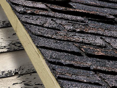 JS Roofing Images